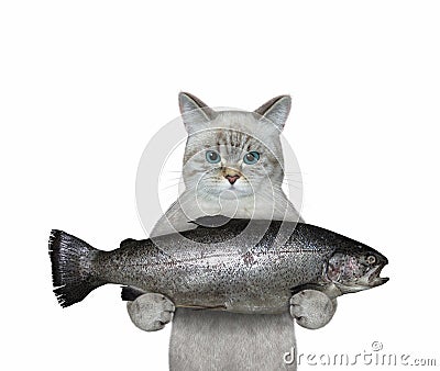 Cat ashen holding large trout Stock Photo