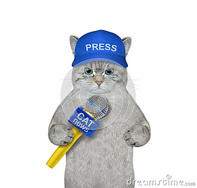 Cat ashen journalist with microphone Stock Photo