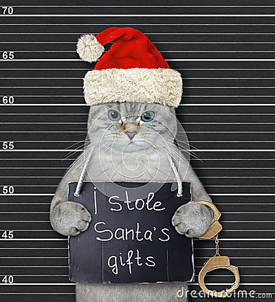 Cat ashen stole santas gifts Stock Photo