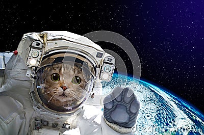Cat astronaut in space on background of the globe Stock Photo
