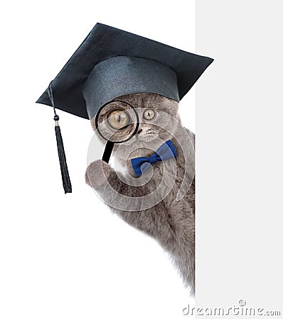 Cat with black graduation cap looks thru a magnifying lens. Isolated on white background Stock Photo