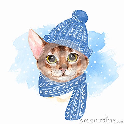 Cat in blue hat Cartoon Illustration