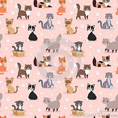 Cat breed cute kitten pet portrait fluffy young adorable cartoon animal vector illustration seamless pattern Vector Illustration