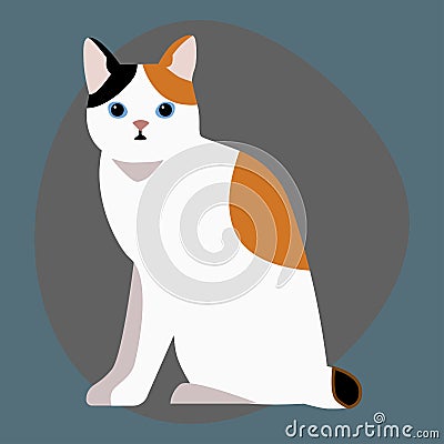 Cat breed cute pet portrait fluffy white black red adorable cartoon animal and pretty fun play feline sitting mammal Vector Illustration