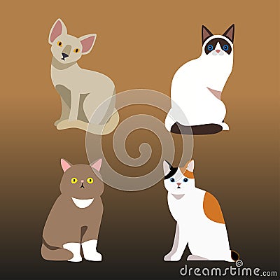 Cat breed cute pet portrait fluffy young adorable cartoon animal and pretty fun play feline sitting mammal domestic Vector Illustration