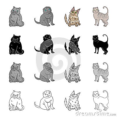 Cat breed Exotic shorthair, Scottish fold, Turkish Angora, British. Different breeds of cat set collection icons in Vector Illustration