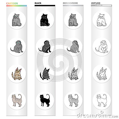 Cat breed Exotic shorthair, Scottish fold, Turkish Angora, British. Different breeds of cat set collection icons in Vector Illustration