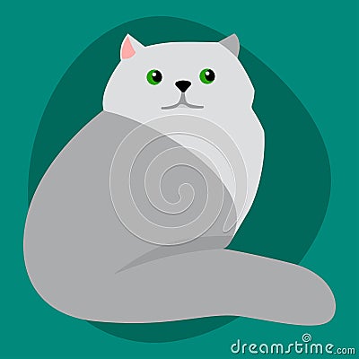 Cat breed siberian cute pet portrait fluffy gray adorable cartoon animal and pretty fun play feline sitting mammal Vector Illustration