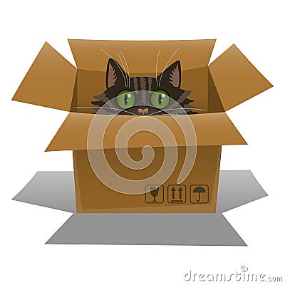 Cat in a cardboard box. Kitten is looking out of a box. Vector Vector Illustration