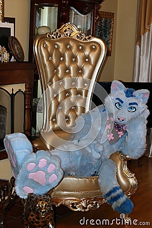 cat carnival costume sits on a beautiful royal throne Stock Photo