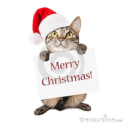 Cat Carrying Merry Christmas Sign Stock Photo