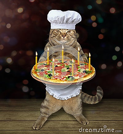 Cat chef with holiday pizza 2 Stock Photo