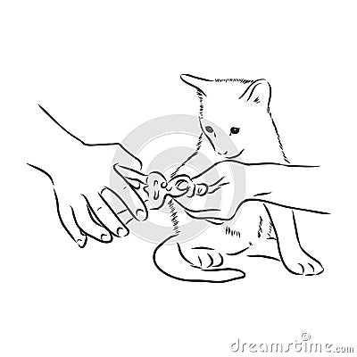 cat claw trimming, vector sketch illustration. pet grooming Cartoon Illustration