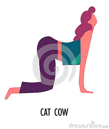 Cat cow yoga asana, sport and fitness, girl stretching Vector Illustration