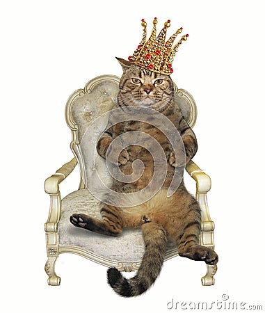 Cat in crown on throne Stock Photo