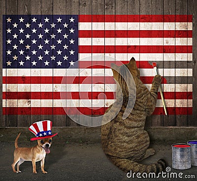 Cat and dog draw the American flag Stock Photo