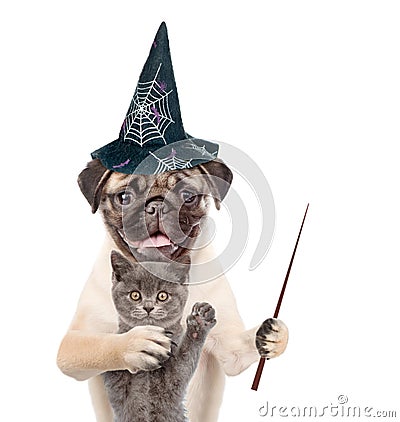 Cat and dog in hats for halloween holding pointing stick. isolated on white background Stock Photo