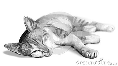 Cat drawing sketch Stock Photo