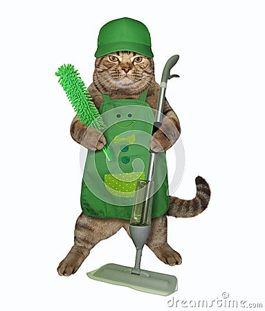 Cat with a dust brush and a mop Stock Photo