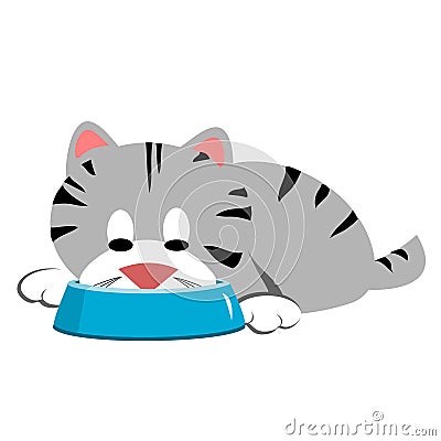 cat eating from dish