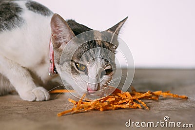 Cat eating fish snack Stock Photo
