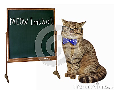 English teacher Stock Photo