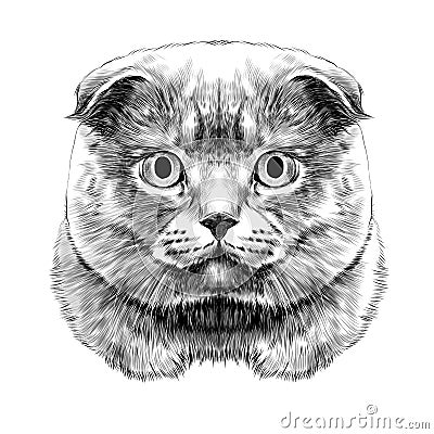 Cat face sketch vector Vector Illustration