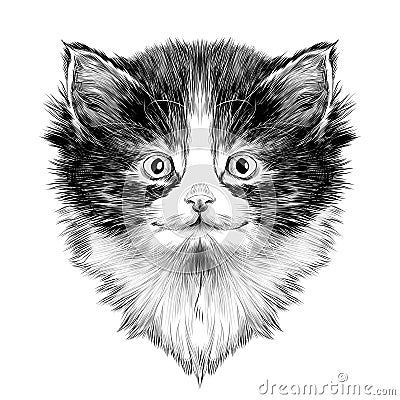 Cat face sketch vector Vector Illustration