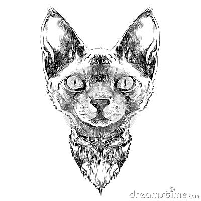 Cat face sketch vector Vector Illustration