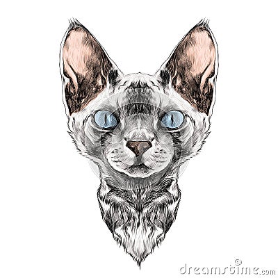 Cat face sketch vector Vector Illustration