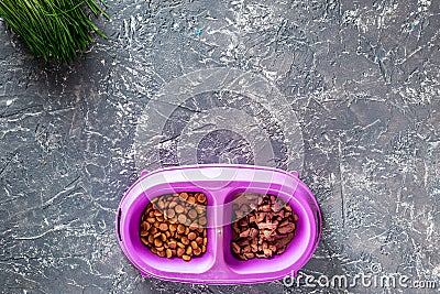 Cat feed in bowl and grass on grey stone background top view copyspace Stock Photo