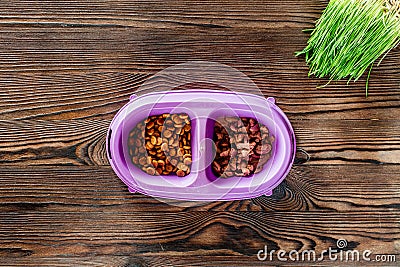 Cat feed in bowl and grass on wooden background top view copyspace Stock Photo