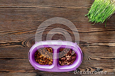 Cat feed in bowl and grass on wooden background top view copyspace Stock Photo