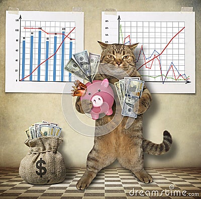 Cat economist with a piggy bank Stock Photo
