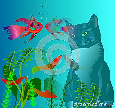 Cat and fish Stock Photo