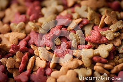 Cat Food Stock Photo