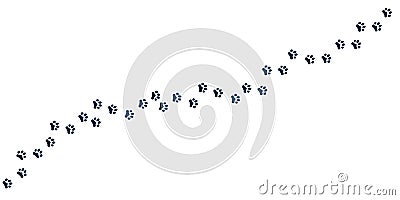 Cat foot trail. Kitten clawed paws, black pets footprint silhouettes. Dog track, pawprint road. Isolated steps of puppy Vector Illustration