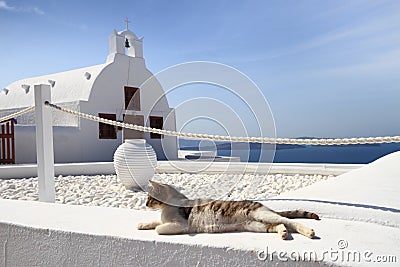 Cat in front of classical church in Santorini Stock Photo