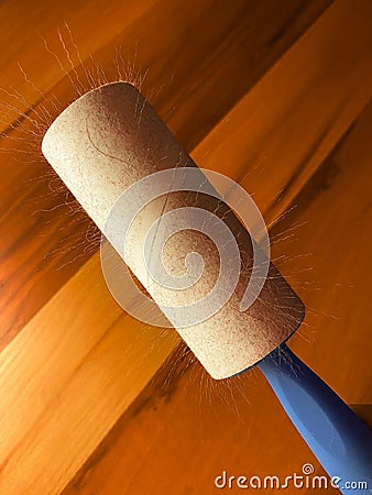Cat fur elevated on roller by static electric close up view Stock Photo