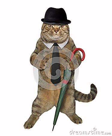 Cat gentleman with umbrella Stock Photo