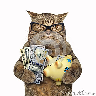 Cat with a piggy bank for dollars Stock Photo