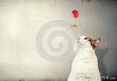 Cat and gold fish Stock Photo