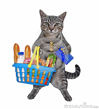 Cat gray holds shopping basket with food Stock Photo