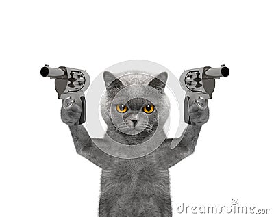 Cat with guns is murderer Stock Photo