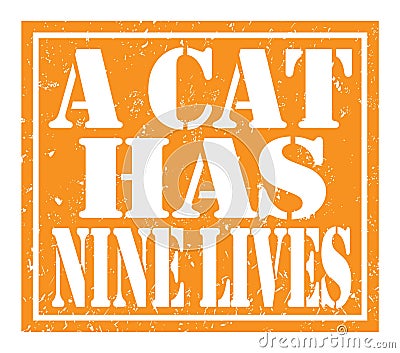 A CAT HAS NINE LIVES, text written on orange stamp sign Stock Photo