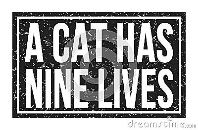 A CAT HAS NINE LIVES, words on black rectangle stamp sign Stock Photo