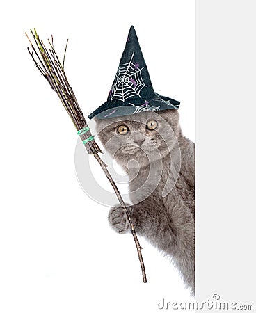 Cat with hat for halloween and with witches broom stick peeking from behind empty board. isolated on white background Stock Photo