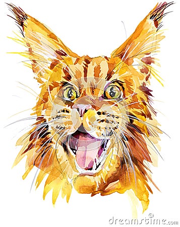 Cat head isolated on white. Maine Coon cats breed. fluffy kitty Cartoon Illustration