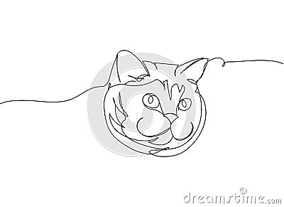 Cat head one line art. Continuous line drawing of pet, mammal, kitten, purebred, breed, friendship, kitty, friend Vector Illustration