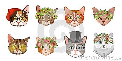 Cat heads. Cute funny cats avatar muzzles with accessories. Portraits with flower crown, hats and glasses. Ladies and Vector Illustration